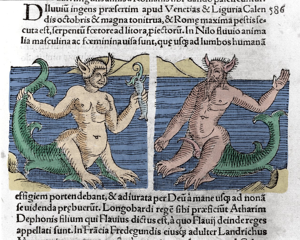 Créatures fantastiques : un triton et une sirène vus dans le Nil. Gravure de "Le livre des prodiges" (Prodigiorum ac ostentorum Chronicon Basileae) par Wolfhart (Conrad Lycosthene) 1557 - Unknown artist