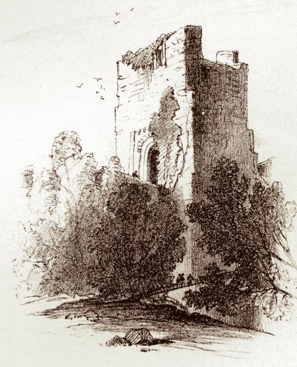 Château de Farnham (gravure) - Unknown artist