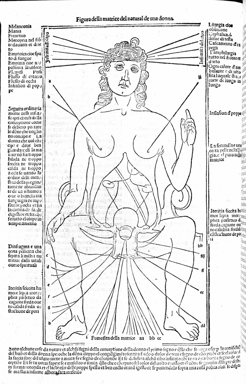 Appareil reproducteur féminin - dans le Traité de Médecine par Gerolamo Cardano (Cardanus Hieronymus), Florence 1585. - Unknown artist