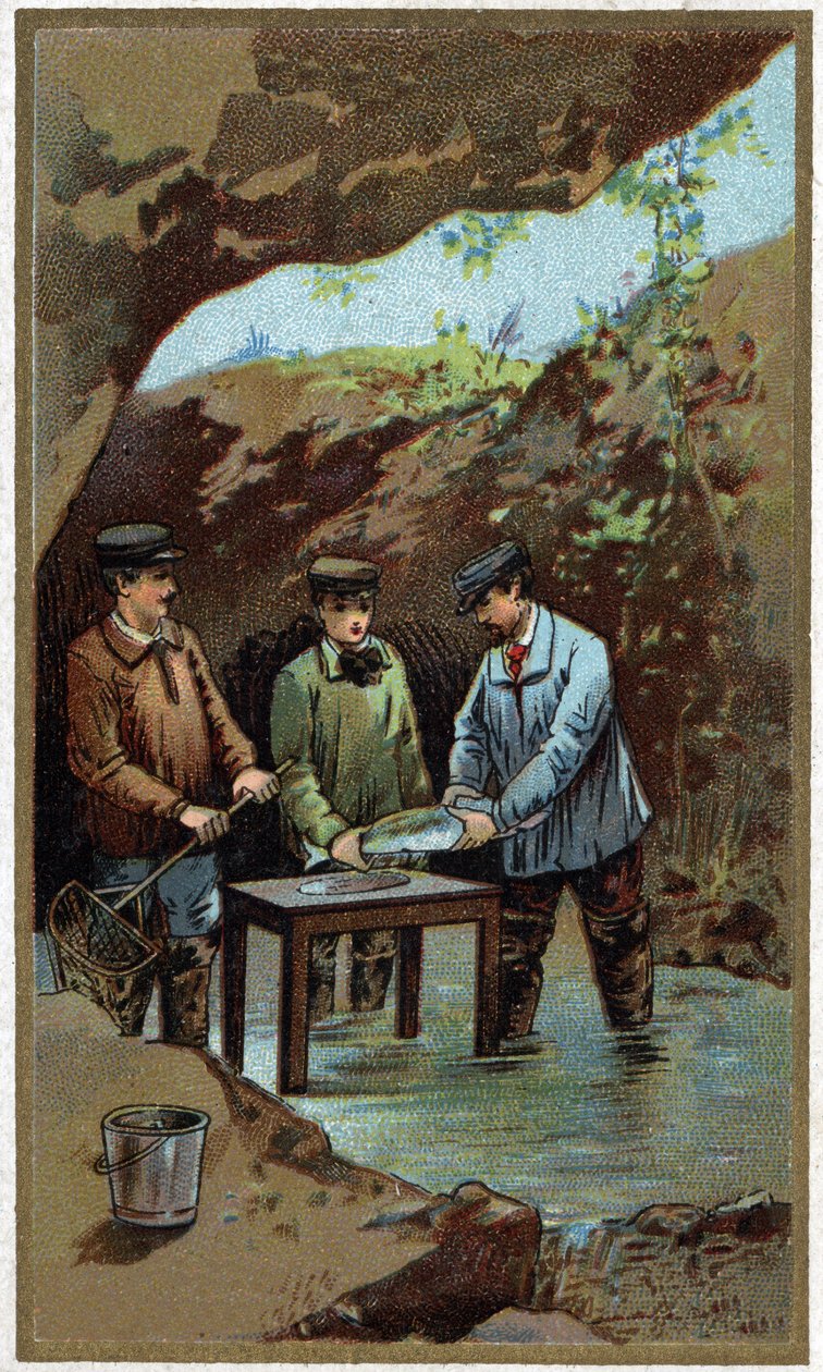 Pisciculture : ponte artificielle. Chromolithographie de la fin du XIXe siècle - Unknown artist