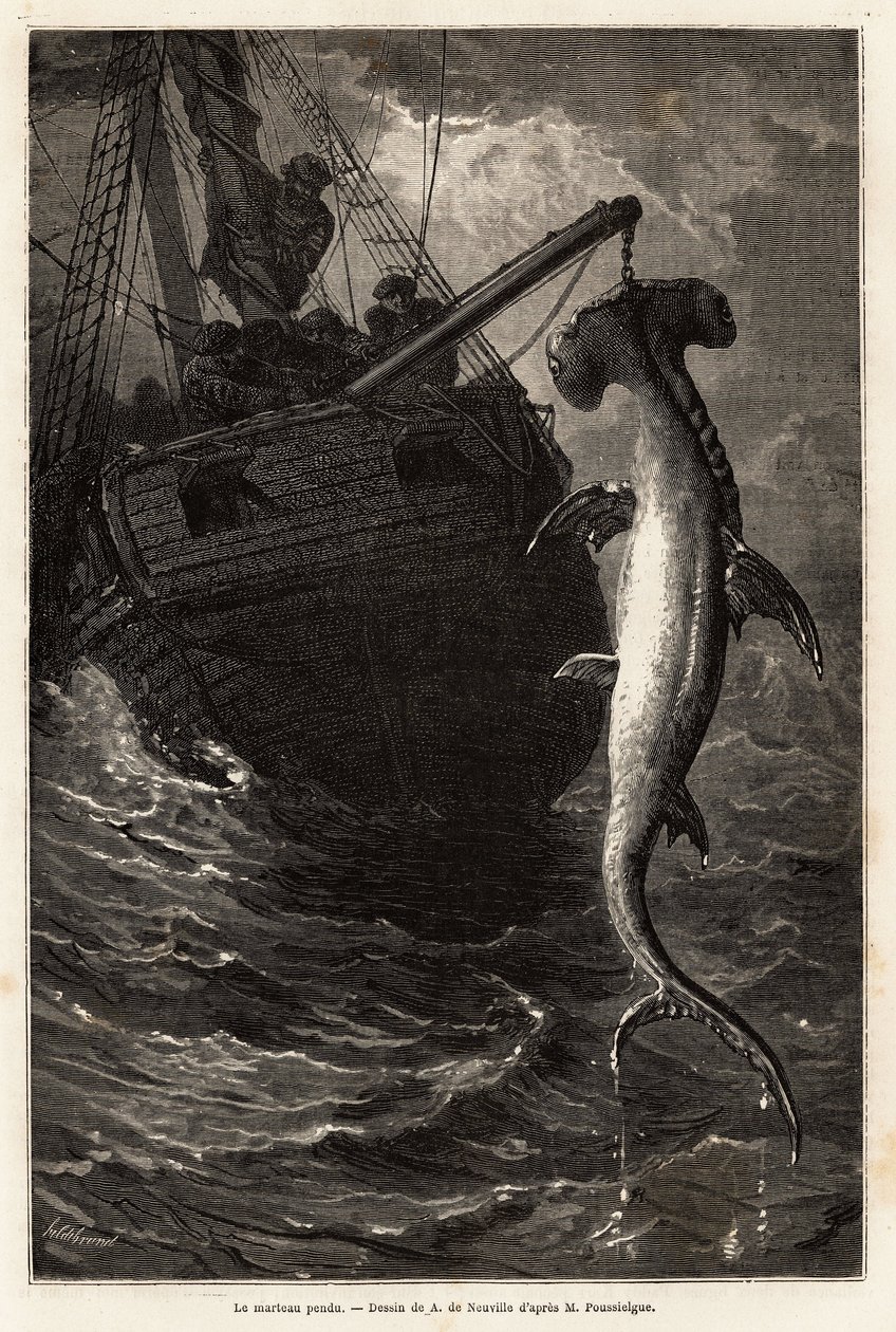 Pêche d