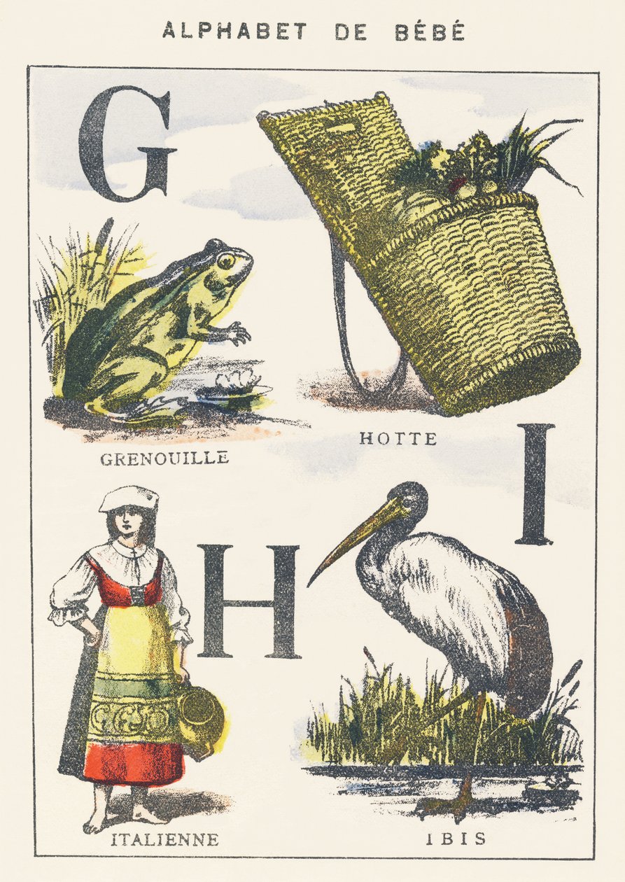 G H I : grenouille, capuche, italien, ibis - Unknown artist