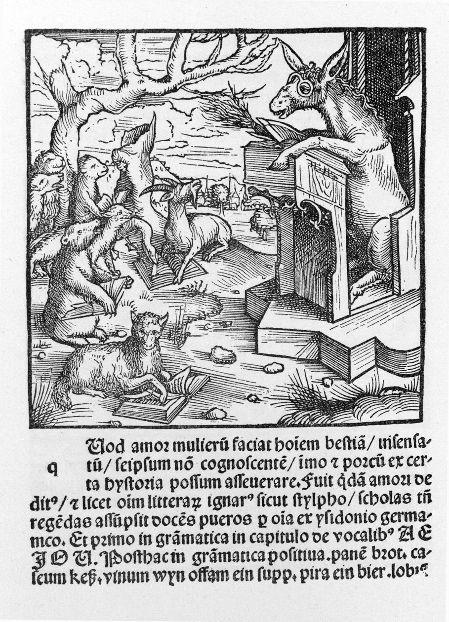 Incunable allemand représentant un âne enseignant une classe d