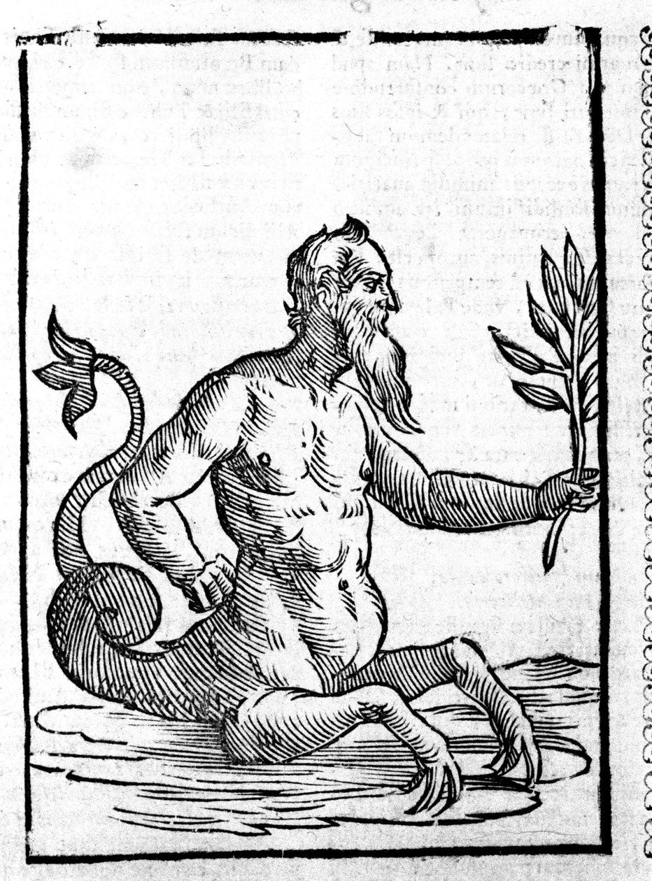 Glaucos avec l