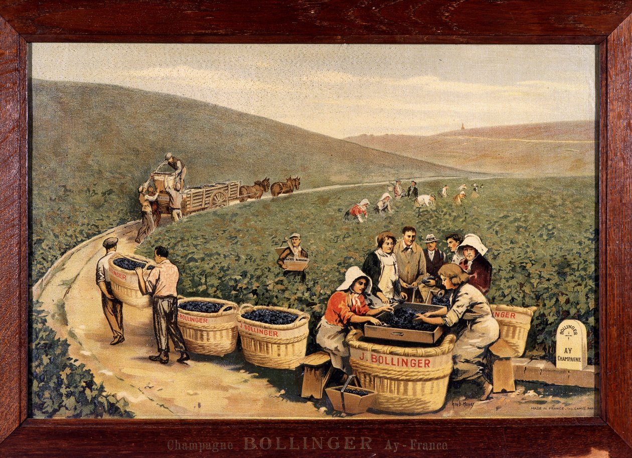 Récolte à Bollinger, vers 1900. - Unknown Artist