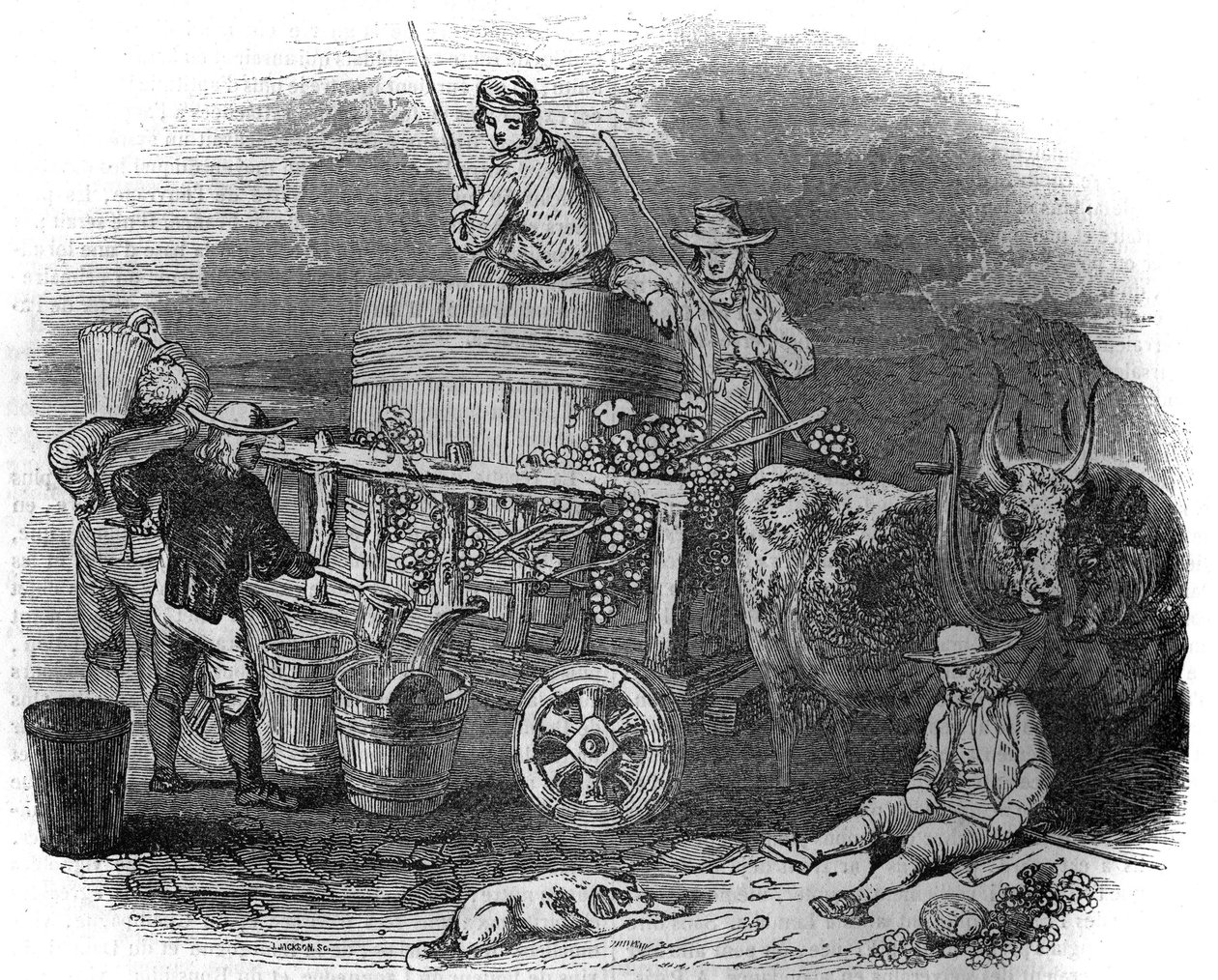 Moissonneur à Pola (Pula) en Croatie au 19e siècle - Unknown artist