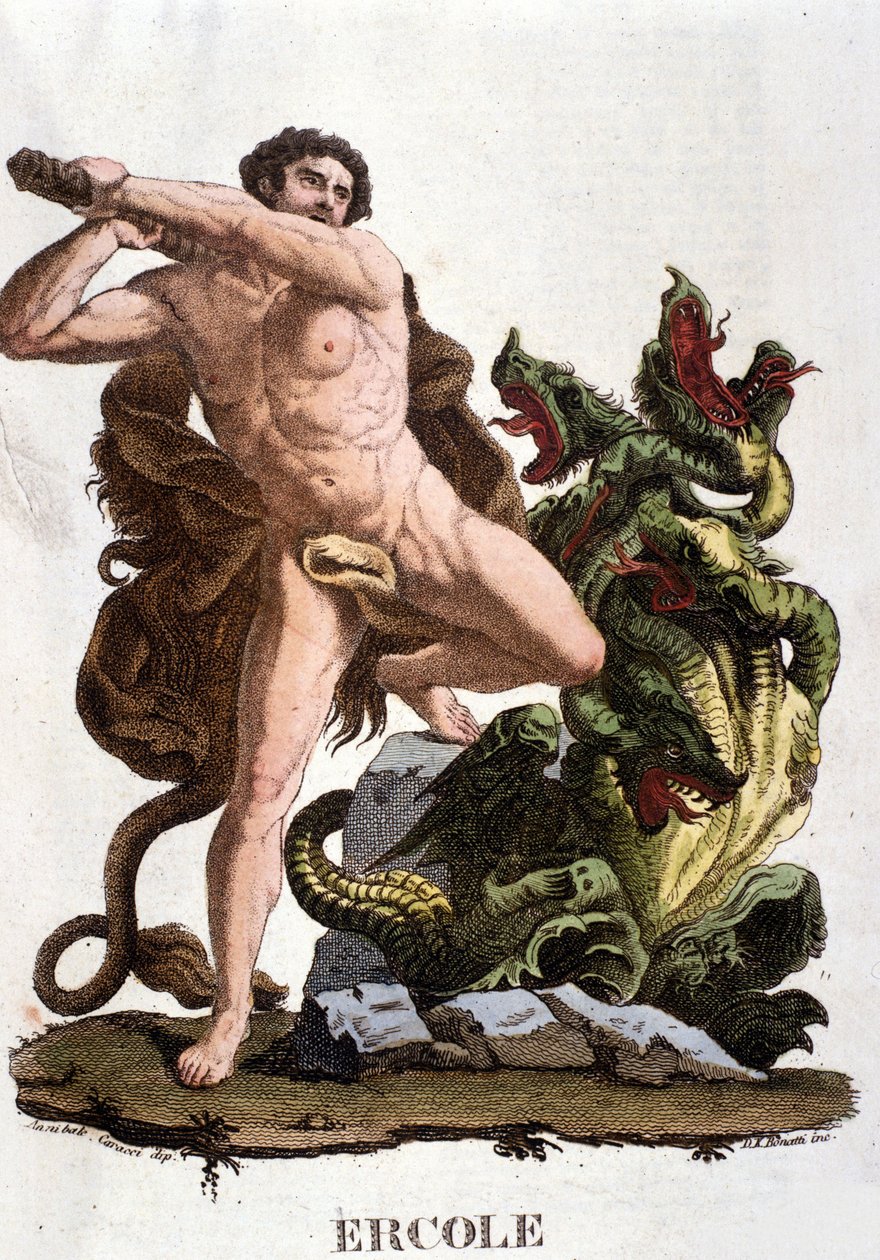 Hercule terrasse l