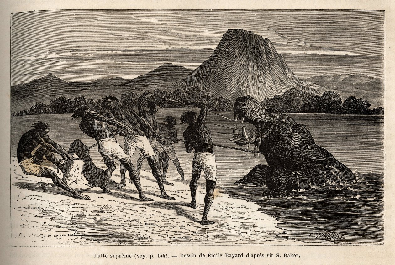 Chasse à l