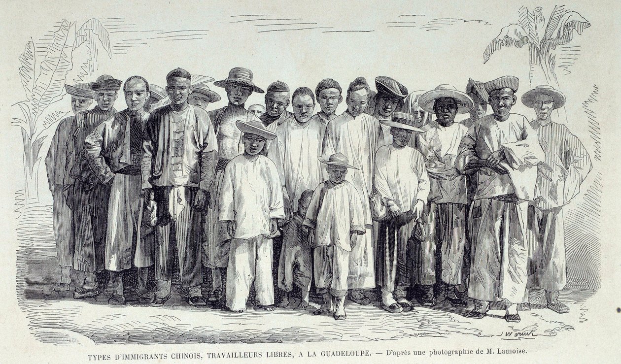 Histoire des colonies françaises : immigrants chinois travaillant en Guadeloupe. Dessin d