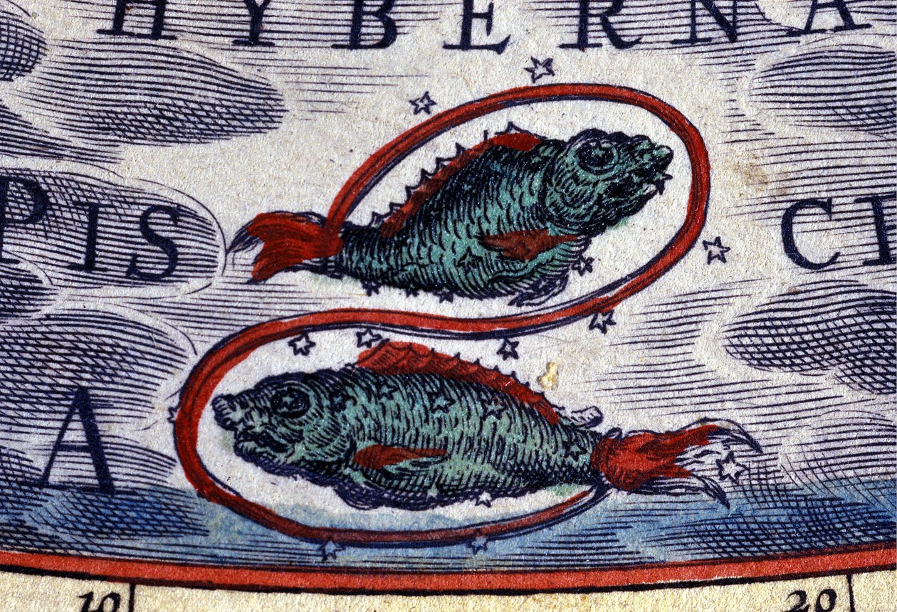 Horoscope : signe du zodiaque, Poissons. Gravure du 16ème siècle - Unknown artist