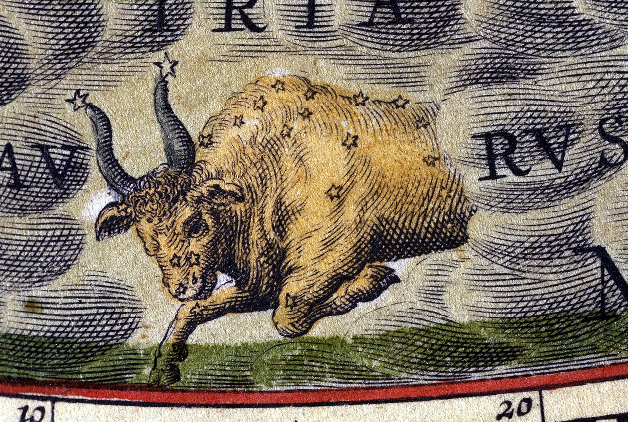 Horoscope : signe du zodiaque, le Taureau - Unknown artist