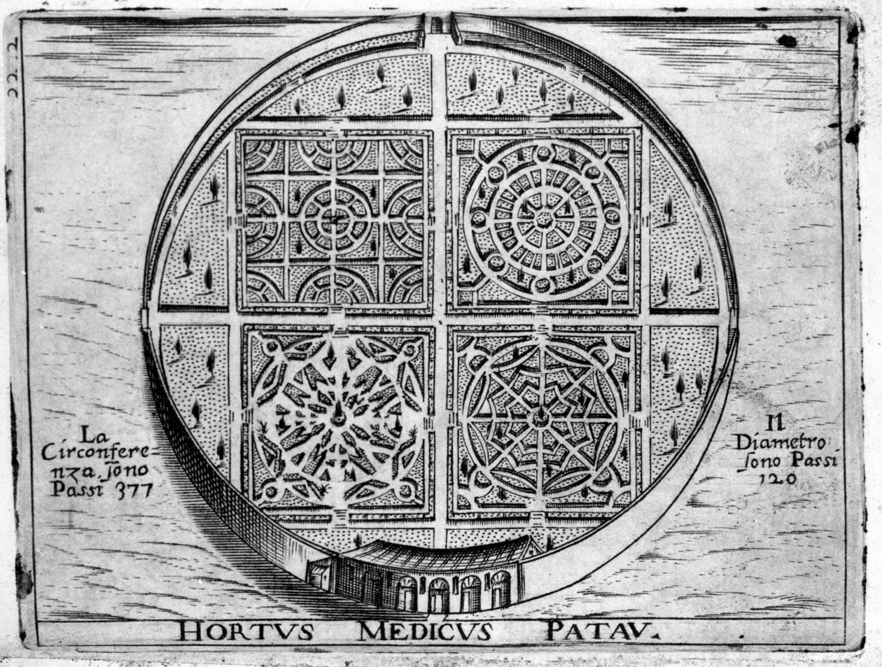 Hortus Medicus Patav: Jardin Médical de Padoue - Unknown artist