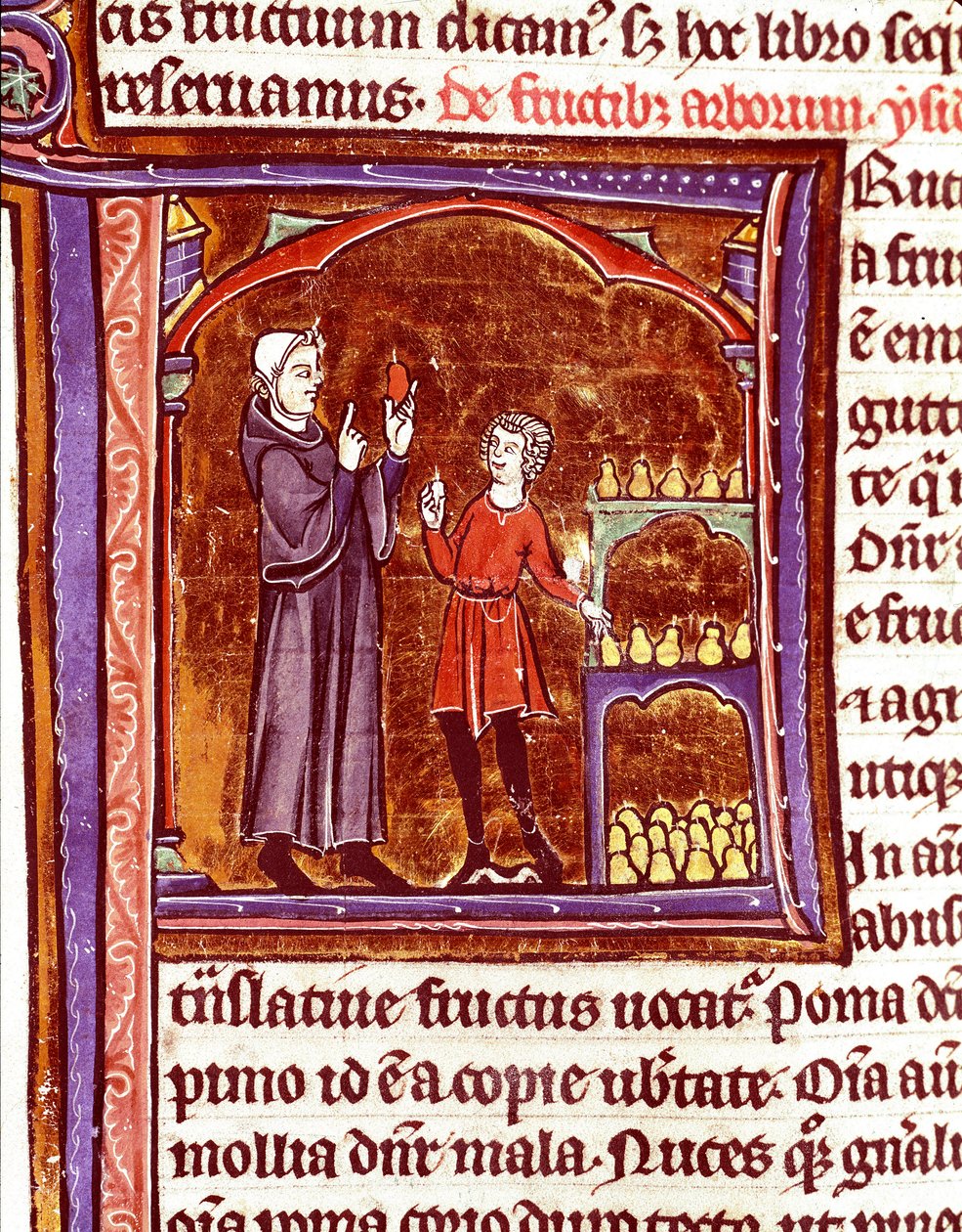 Comment conserver les poires Miniature du manuscrit Speculum historiale (Le Miroir historial) par Vincent de Beauvais (1184/94-1264) 13e siècle Laon, bibliothèque municipale - Unknown artist