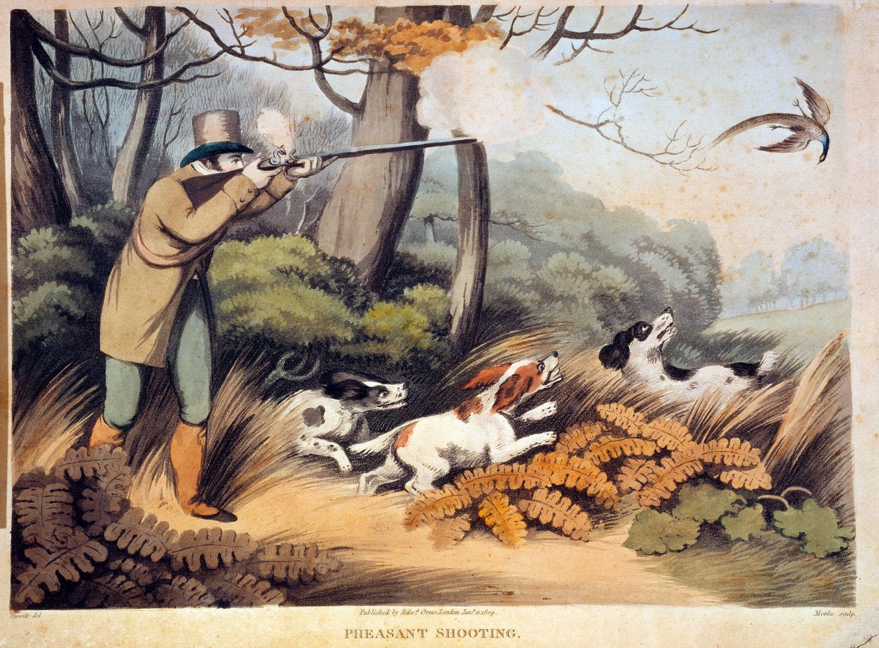 Chasse aux faisans en Angleterre - Unknown artist