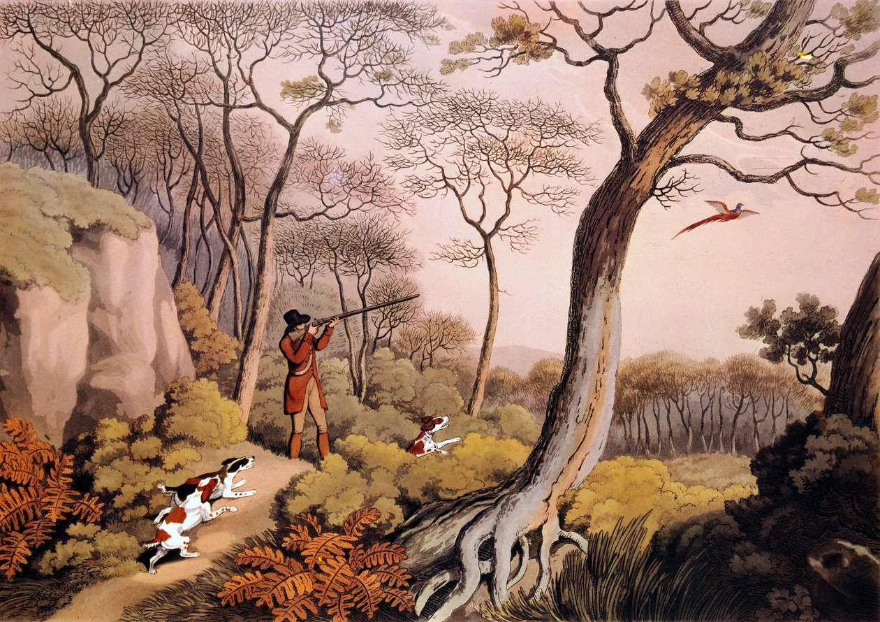 Chasse aux faisans en Angleterre. Gravure du 19ème siècle. Gien, musée de la chasse - Unknown artist