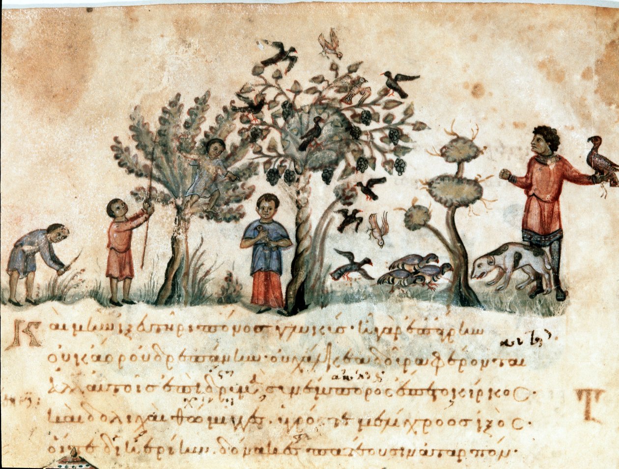 Scène de chasse avec des faucons et cueillette de fruits Miniature tirée du traité de chasse « Les Cynégétiques » par Oppien de Syrie (3ème siècle après J.-C.) dédié à Caracalla. 11ème siècle Venise. Biblioteca Marciana - Unknown artist