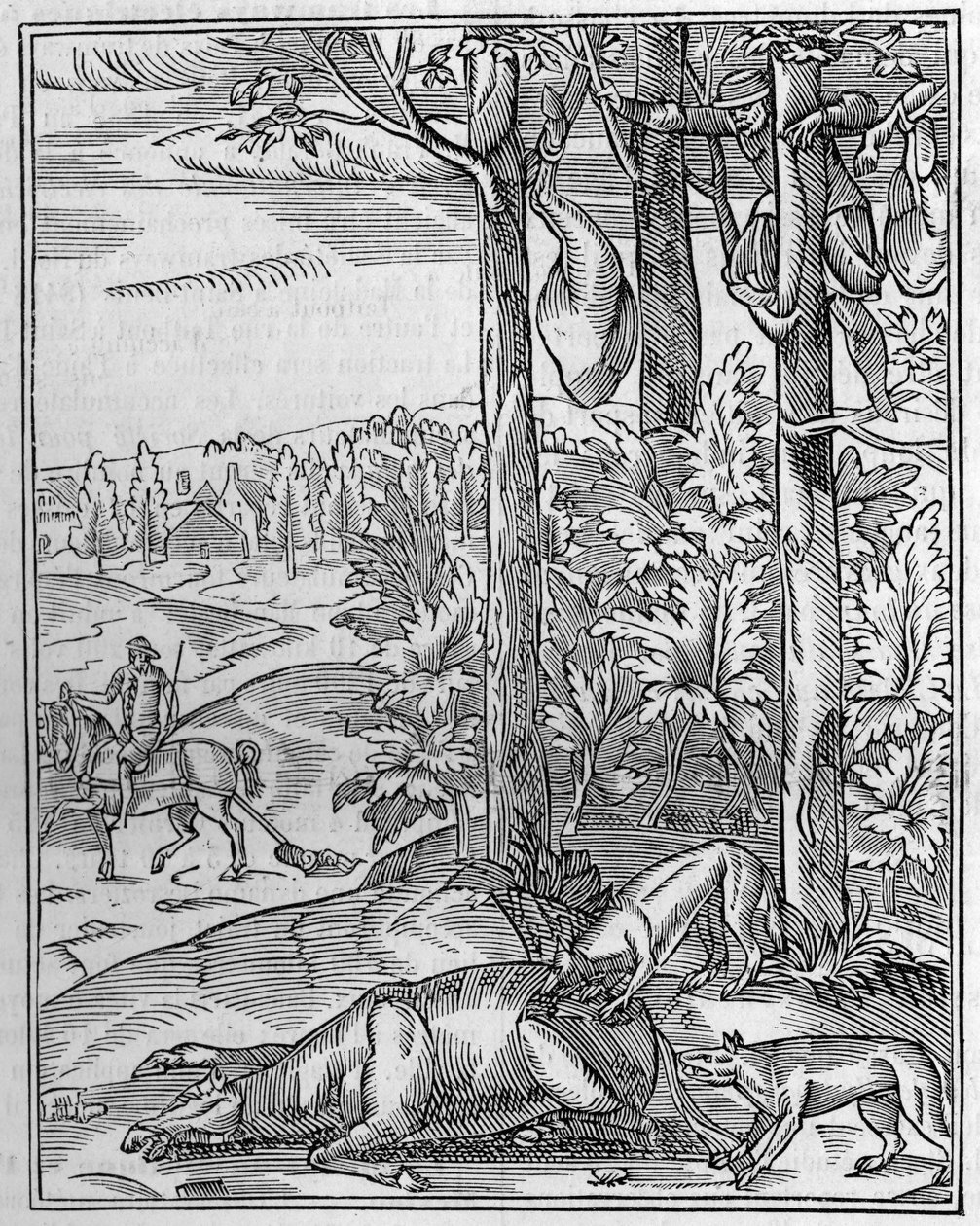 Chasse au loup : la vigie. Fac-similé d