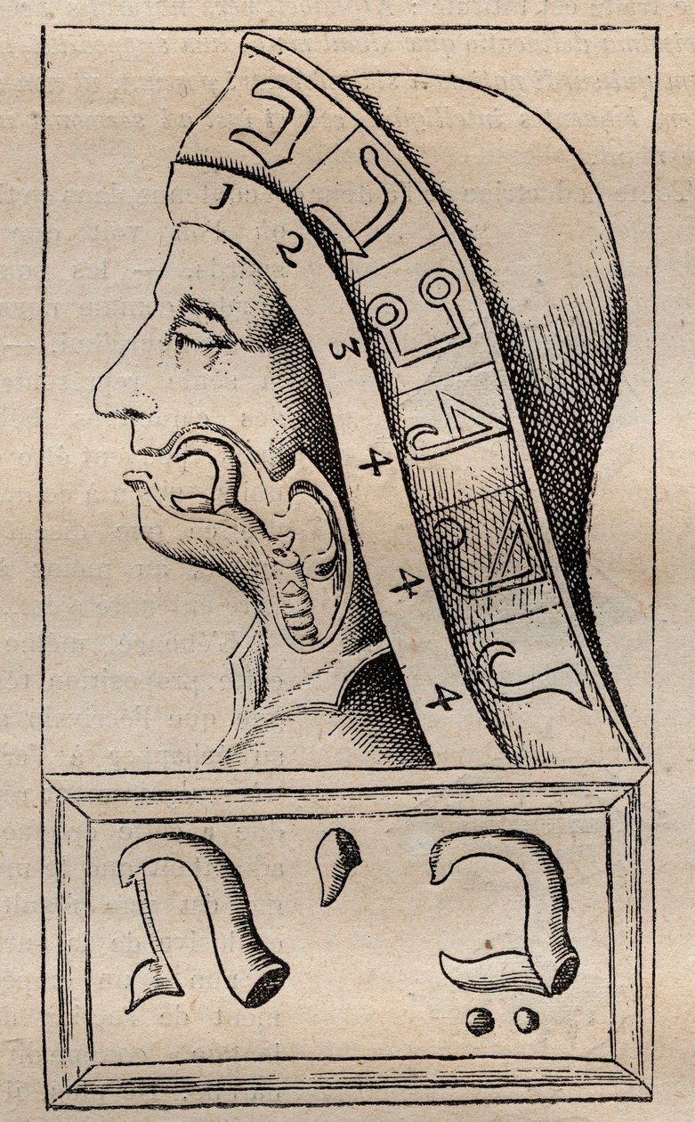 Illustration de : "Alphabeti vere naturalis Hebraici brevissima delineatio" (L