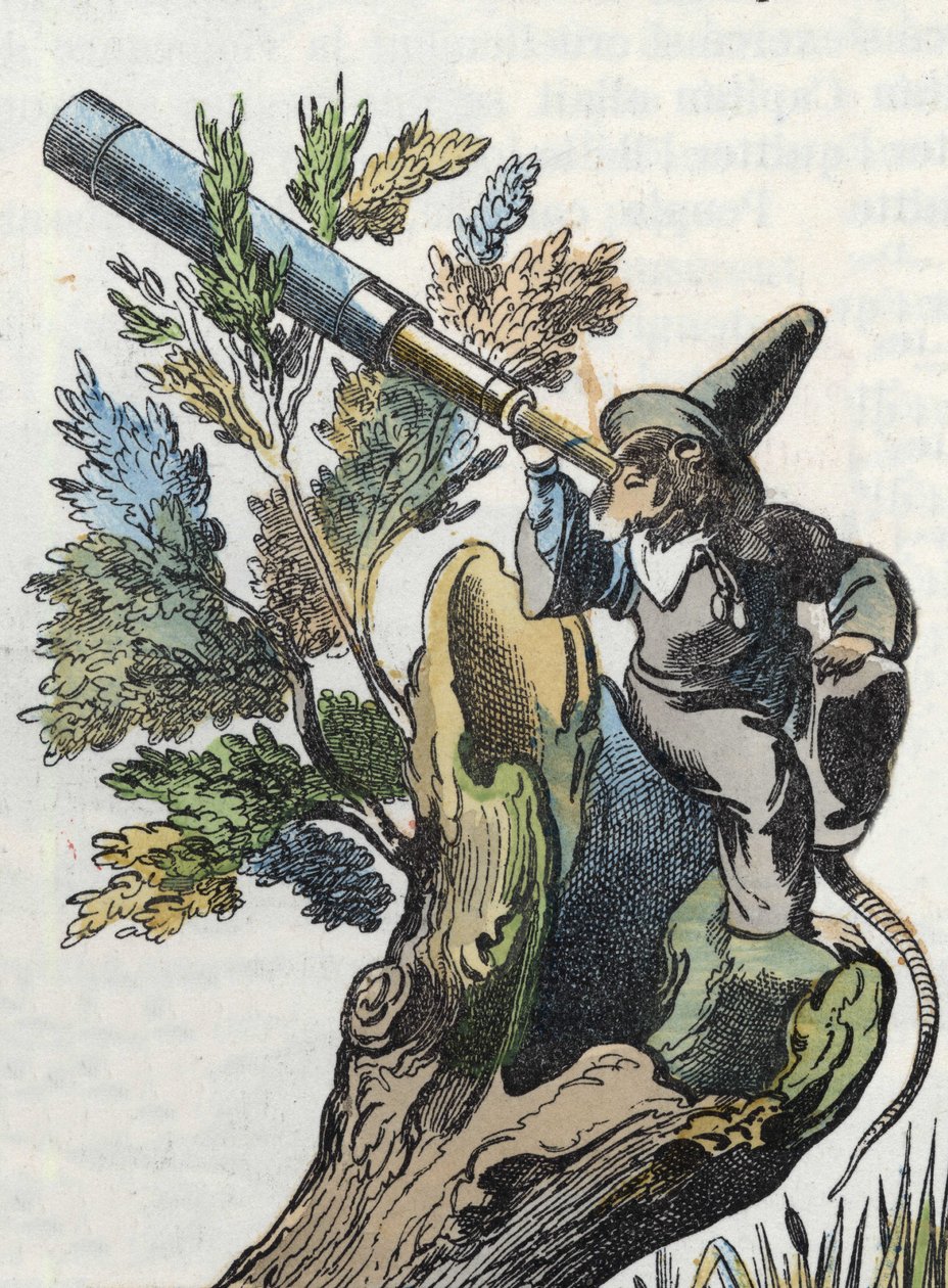 Illustration du conte « Le terrible Raminagrobis et les souris ». Dans « Contes de la maison pour les petits ». Gravure anonyme du XIXe siècle - Unknown artist