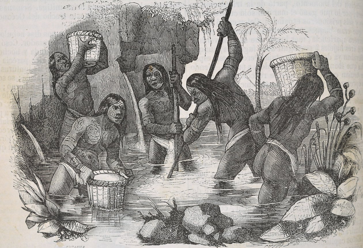 Indiens de l