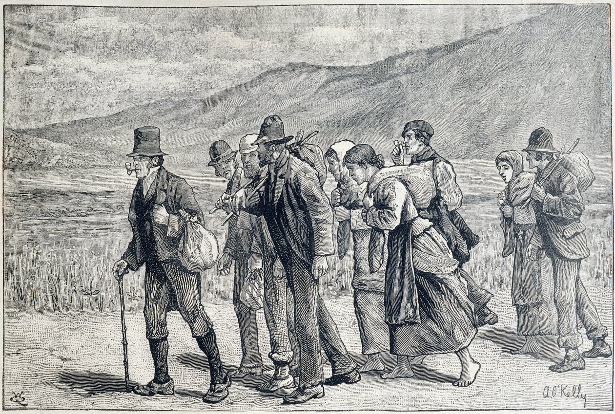 Irlande : travailleurs saisonniers pour la récolte - Unknown artist