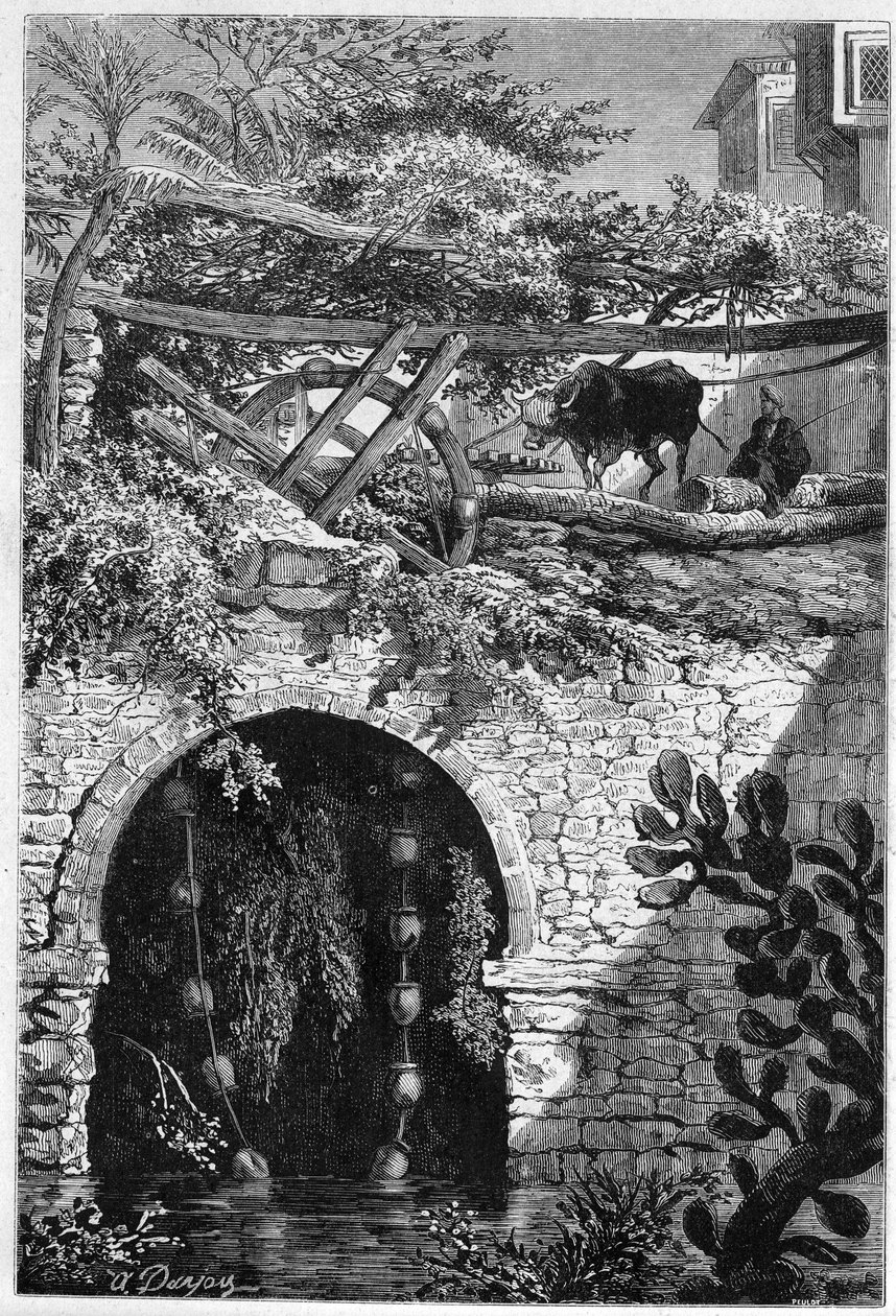 Irrigation en Égypte : un bœuf fait tourner une roue autour de laquelle sont enrouillés des seaux. Gravure dans « Le Monde Illustré » n°1313 du 27 mai 1882 - Unknown artist