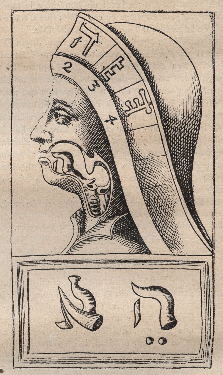Kabbale - Illustration de : "Alphabeti vere naturalis Hebraici brevissima delineatio" (L