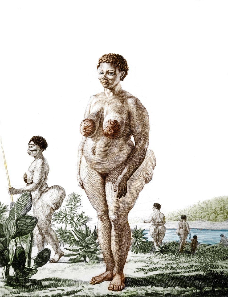 La Vénus Hottentote, femme de la race Bochiman (La Vénus Hottentote), gravure de 1815 - Unknown artist