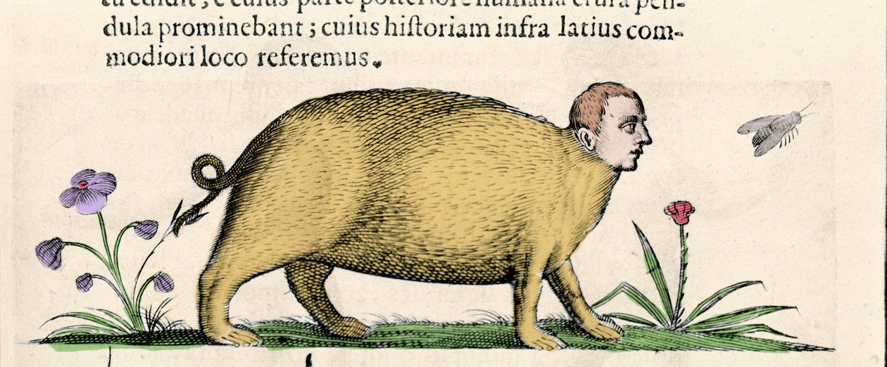 La manticore (dans "De monstrorum natura causis libri duo" par Fortunio Liceti) - Unknown artist