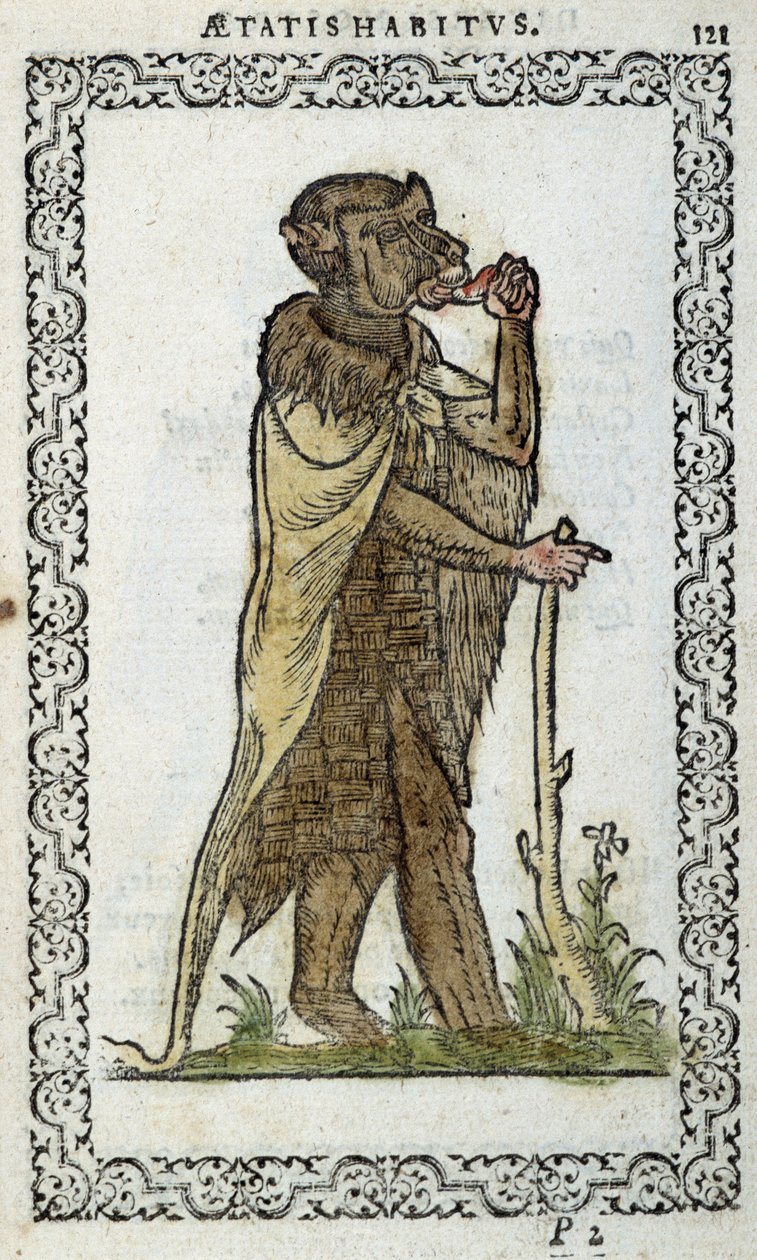 Le moine debout - dans "Habits et effigies" par Jean Sulperius - Unknown artist