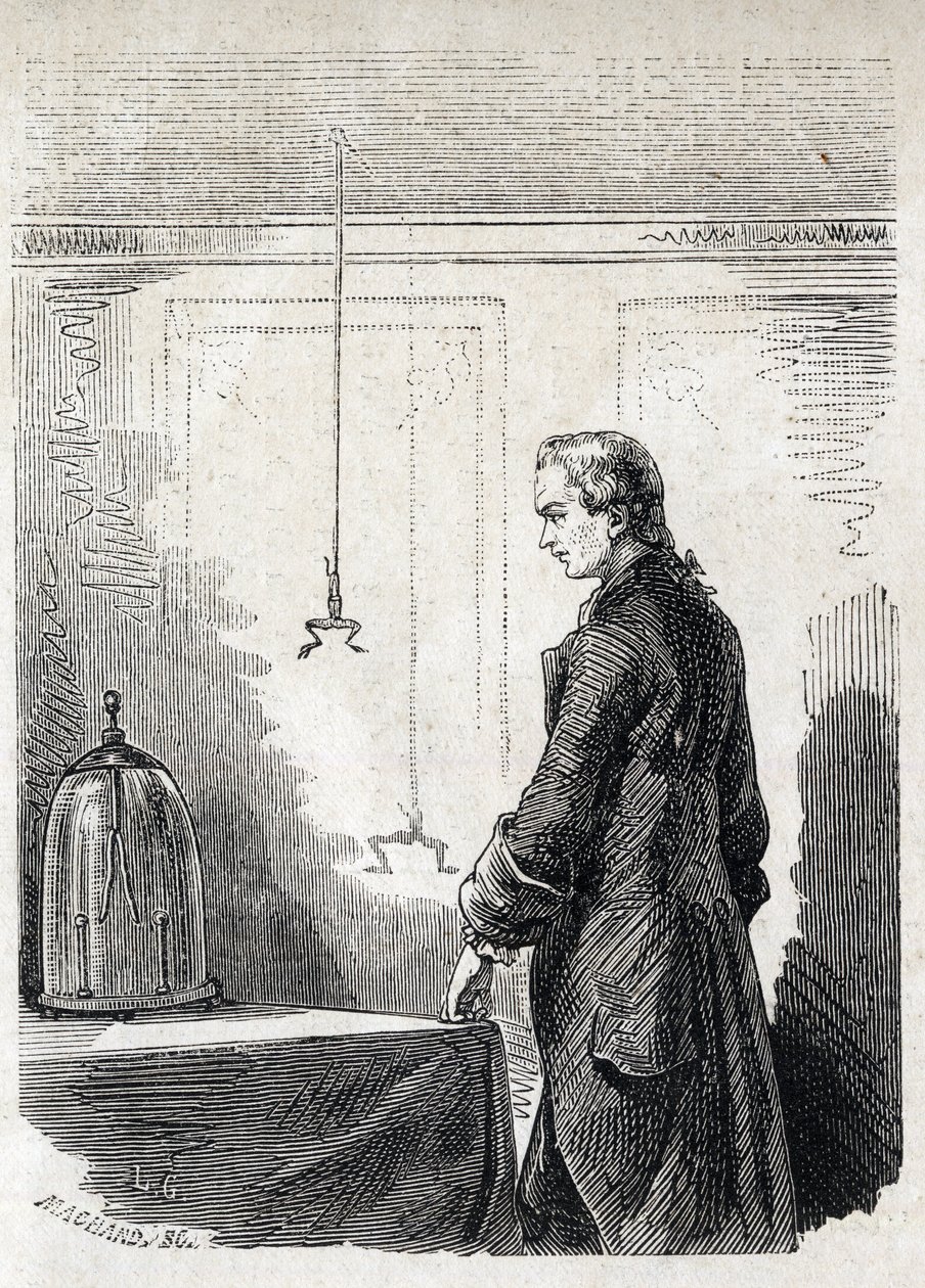 Luigi Galvani provoque des contractions de grenouille par l