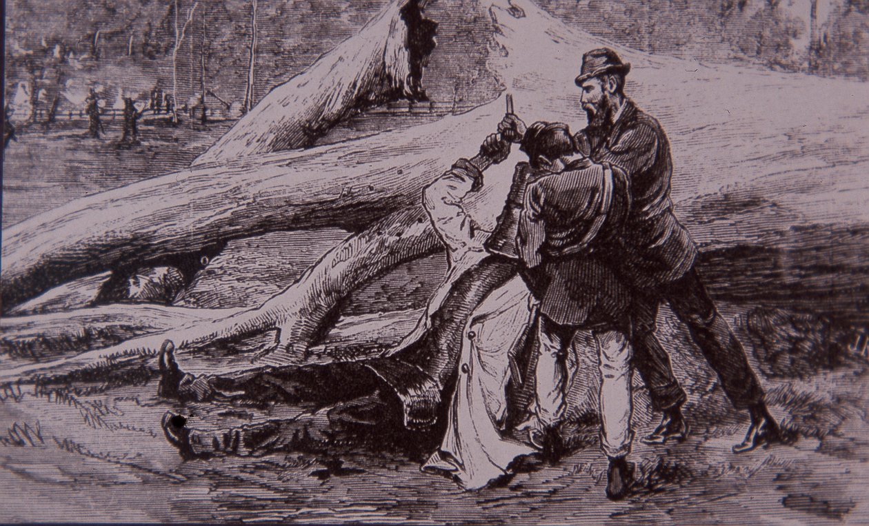 Ned Kelly capturé par le policier Kelly et le cheminot Jesse Dowsett, 28 juin 1880 (gravure) - Unknown artist