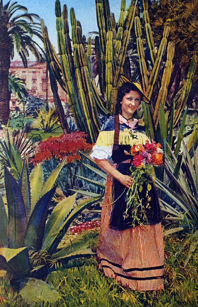 Nicoise. Carte postale vers 1930. Archives municipales de Nice. - Unknown Artist