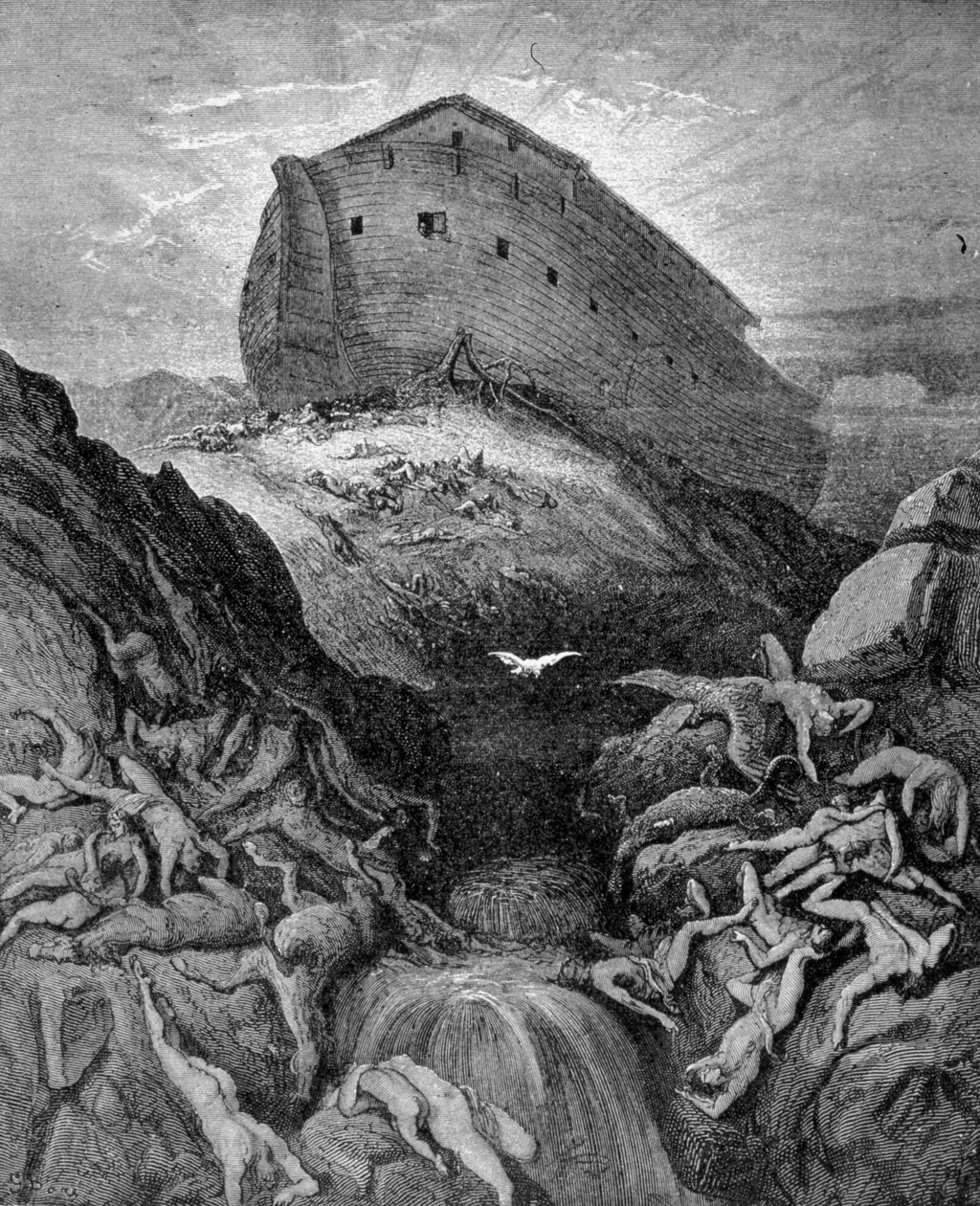 Noé envoie une colombe sur Terre, selon la Genèse. Gravure du 19ème siècle - Unknown artist