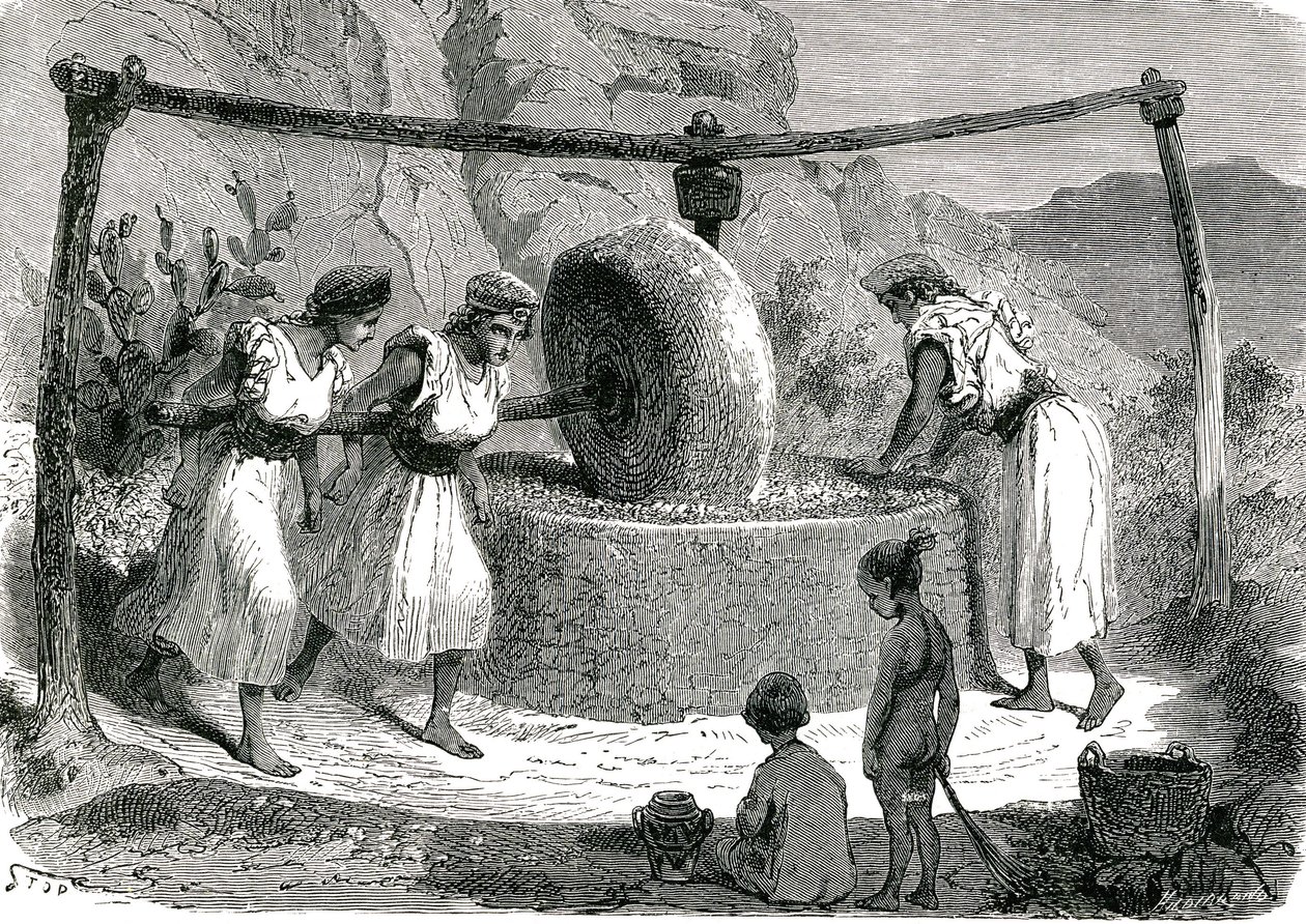 Moulin à olives en Algérie 1885 - Unknown artist