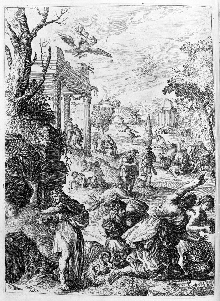 Ovide (Ovidius) - illustration pour le livre 15 - (P. Ovidii Nasonis Metamorphose libri XV um notis TH. Farnabii.) note par Thomas Farnaby (Farnabia) (1575-1647) - Unknown artist