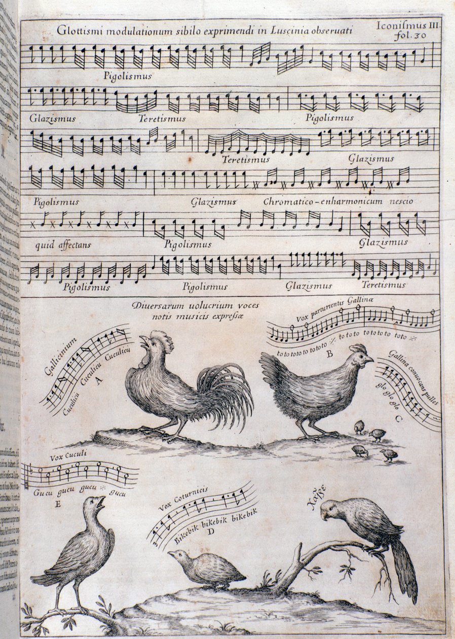 Page de Musurgia (1650) - Unknown artist