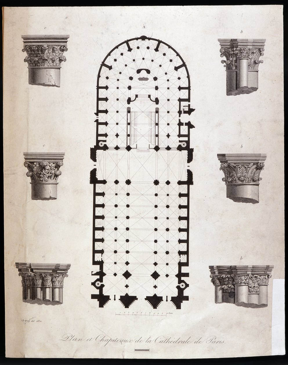 Plan et chapiteaux de la cathédrale Notre-Dame de Paris. 19ème siècle - Unknown artist