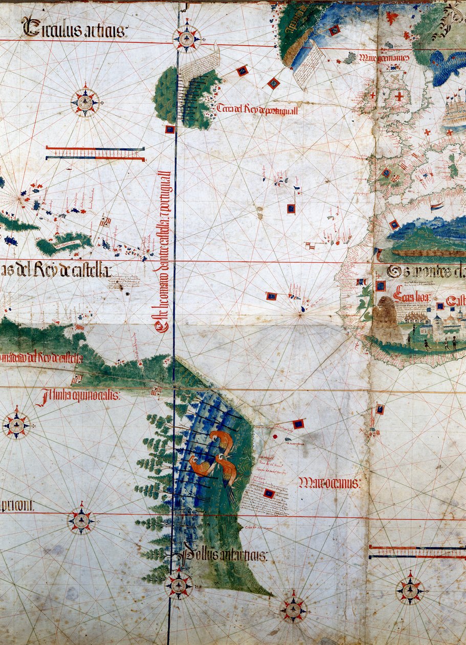 Planisphère de Cantino : Carte d