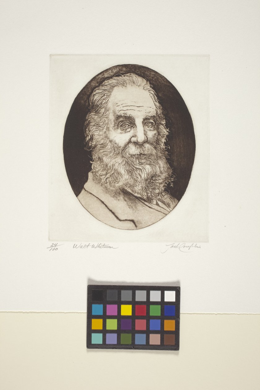 Portrait de Walt Whitman - Unknown artist