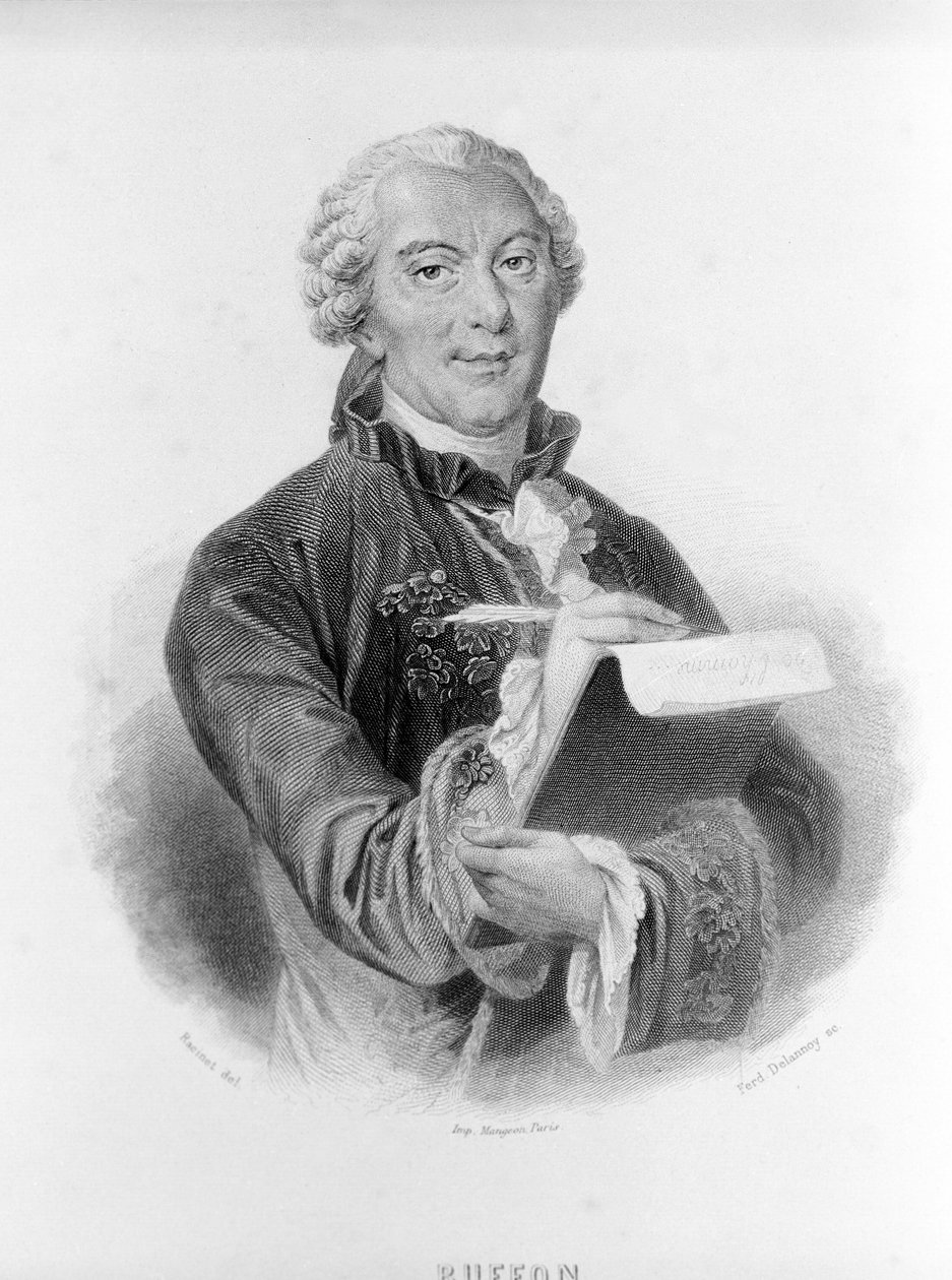 Portrait de Buffon (1707 - 1788), naturaliste et écrivain français