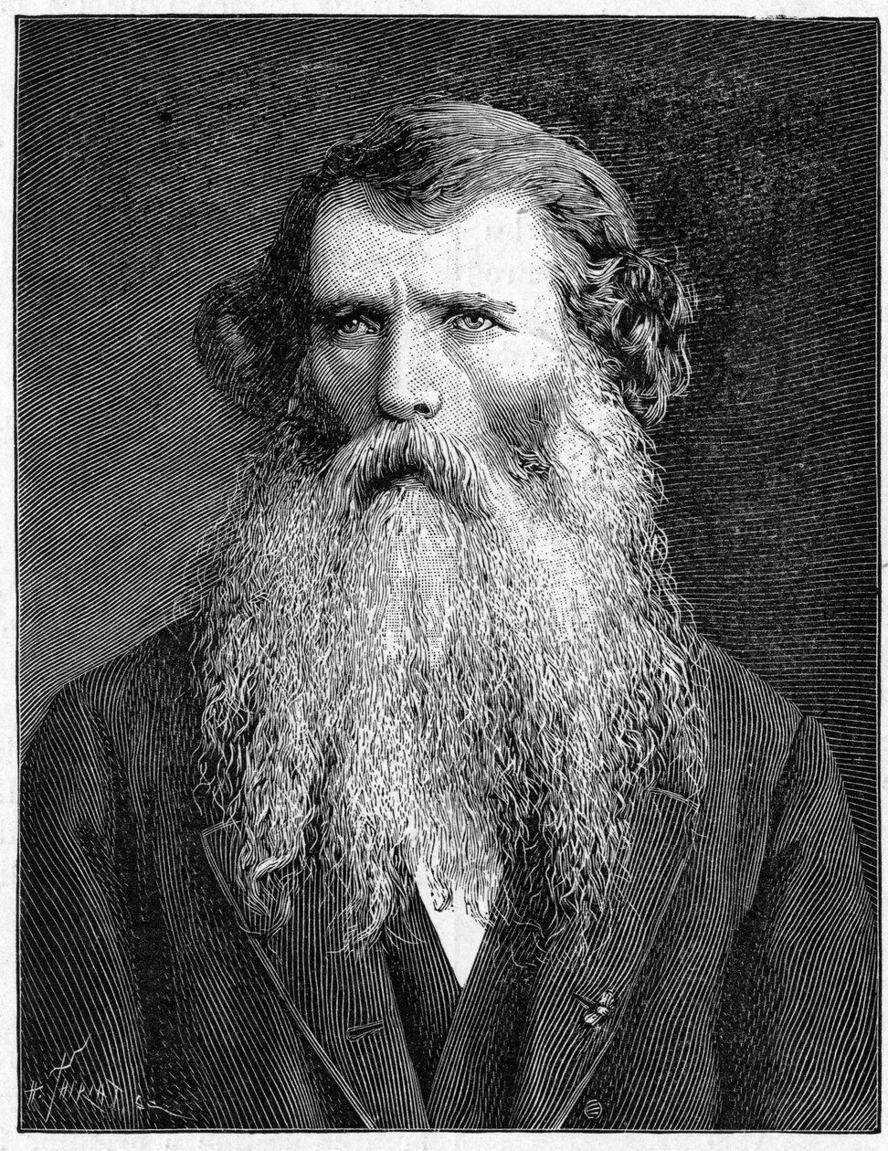 Portrait de Charles Victor Naudin, botaniste français. Gravure de 1898. Dans « La Nature. Revue des sciences et de leurs applications aux arts et à l