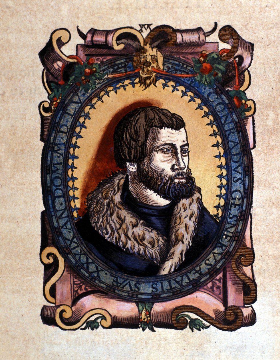 Portrait de Conrad Gesner (1516 - 1565) médecin zurichois après l