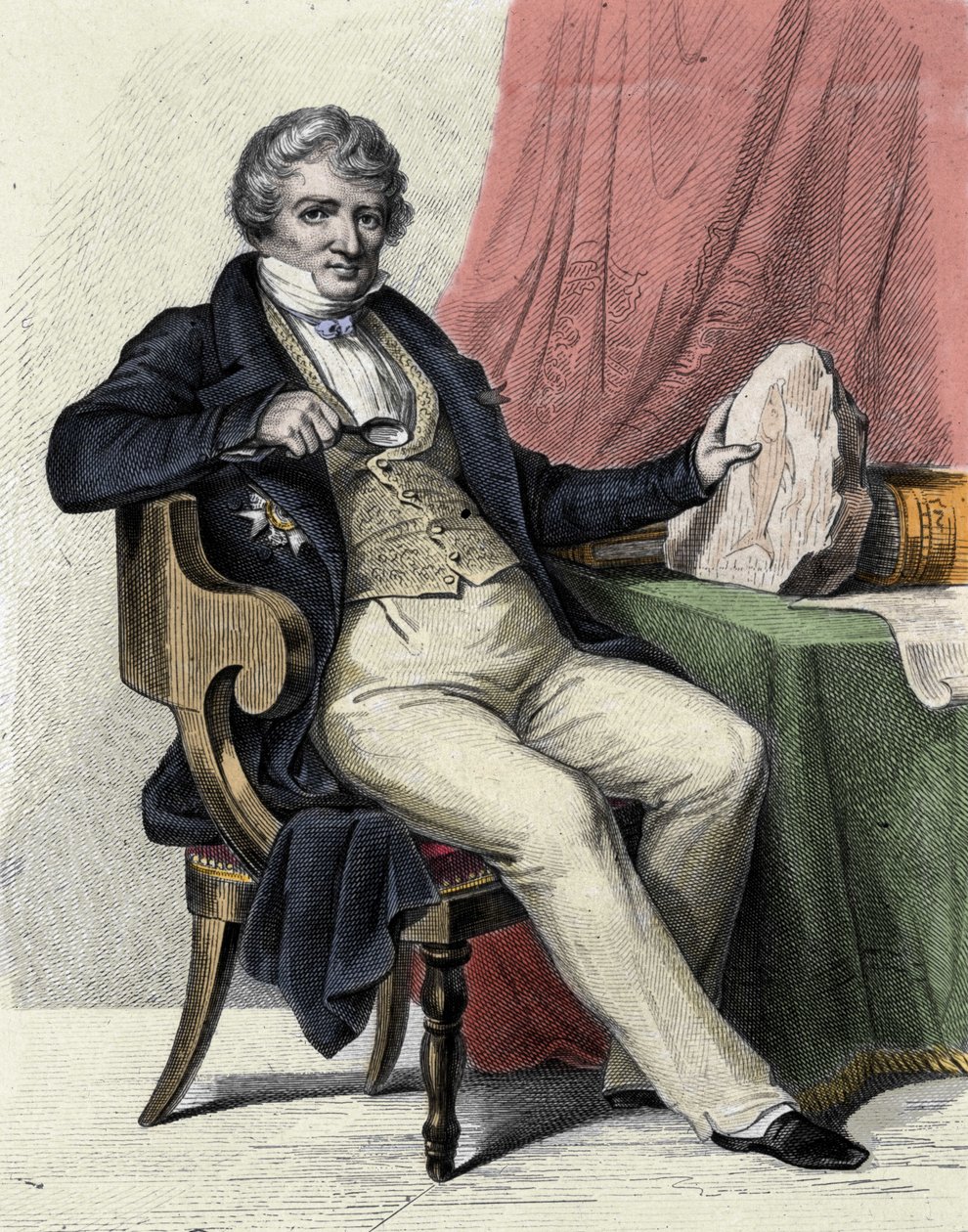 Portrait de Georges Cuvier - Unknown artist