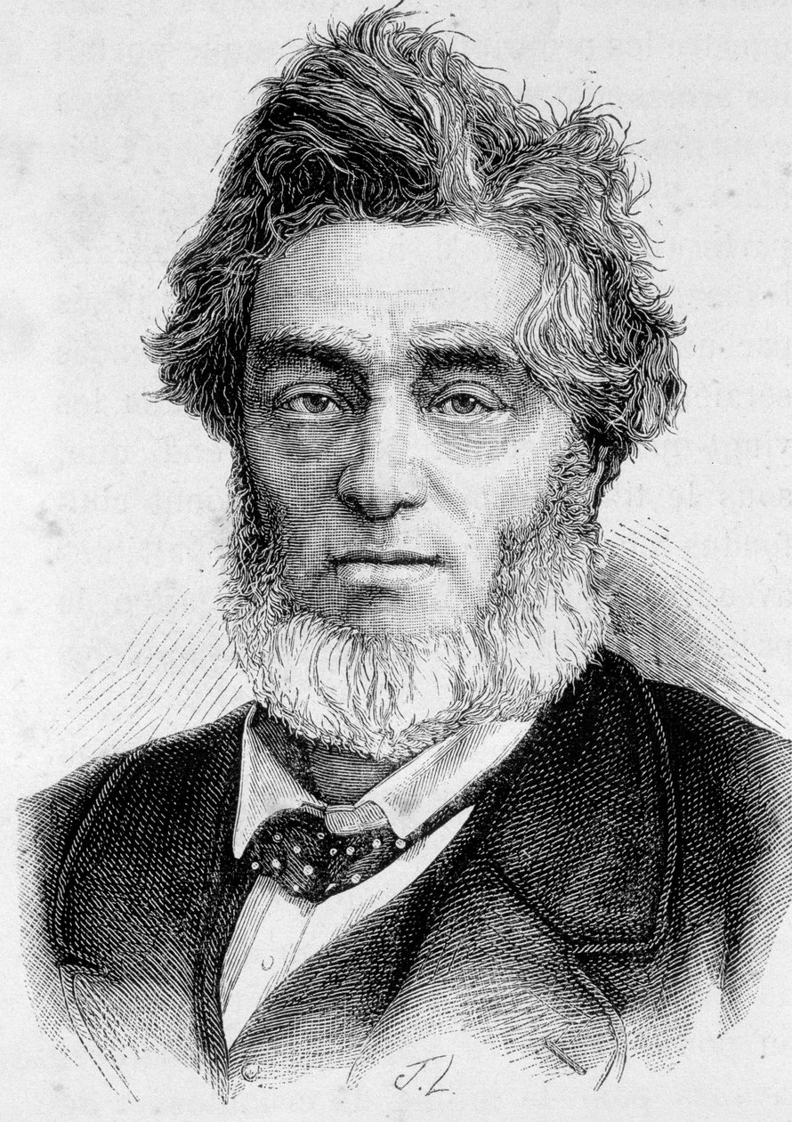 Portrait de Jules Favre (1809 -1880), homme politique français - Unknown artist