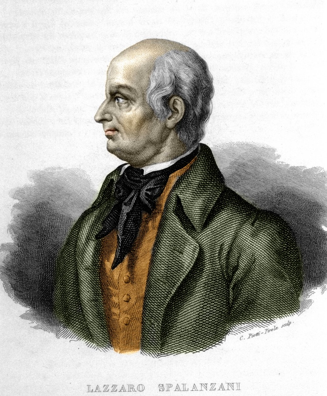 Portrait de Lazzaro Spalanzani, biologiste italien - Unknown artist