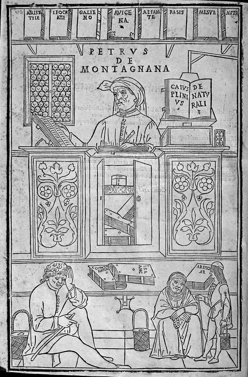 Portrait de Pietro da Montagnana, professeur de médecine padouan - Unknown artist