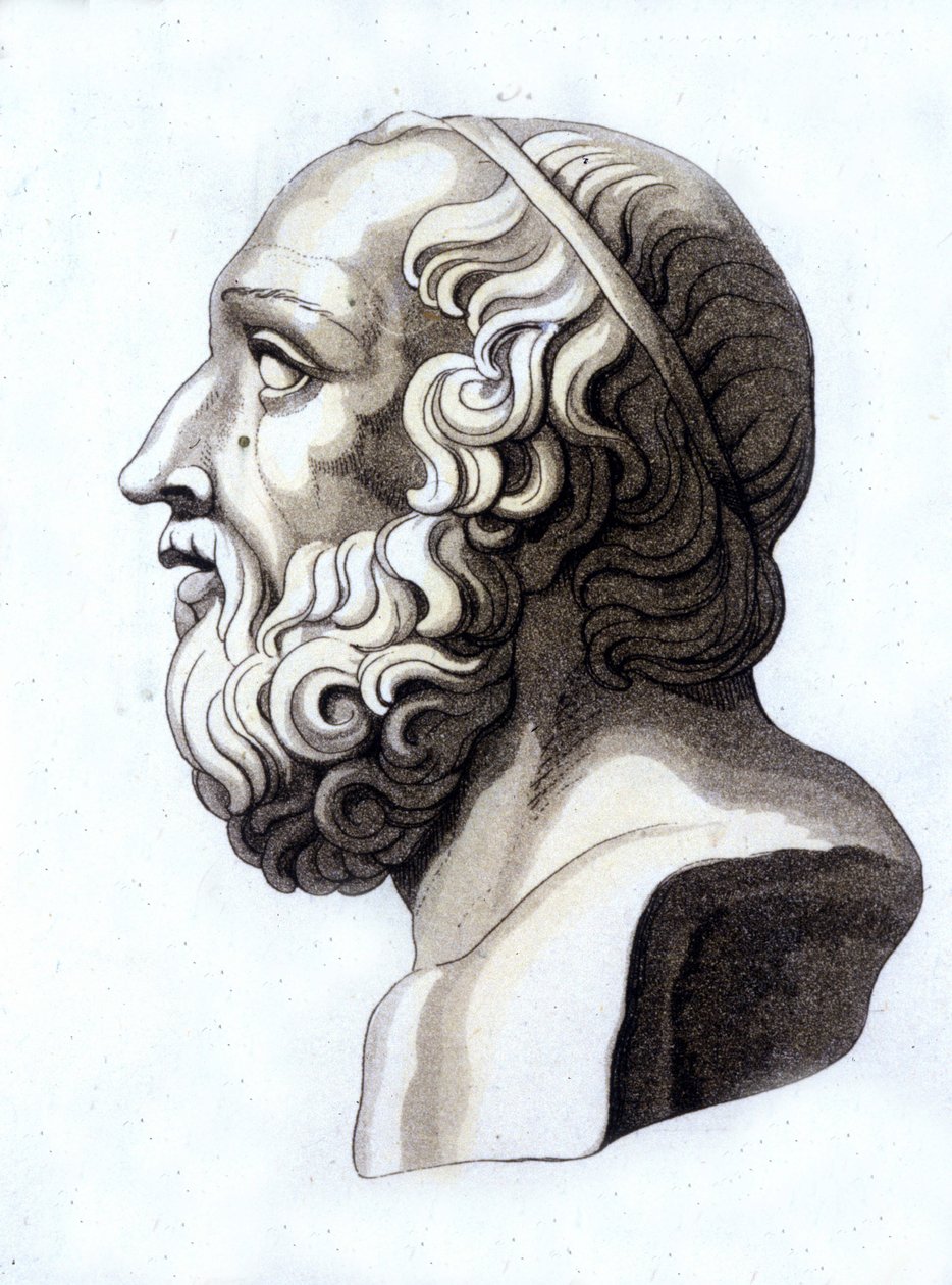 Portrait de Platon (-428; -348). - Unknown artist