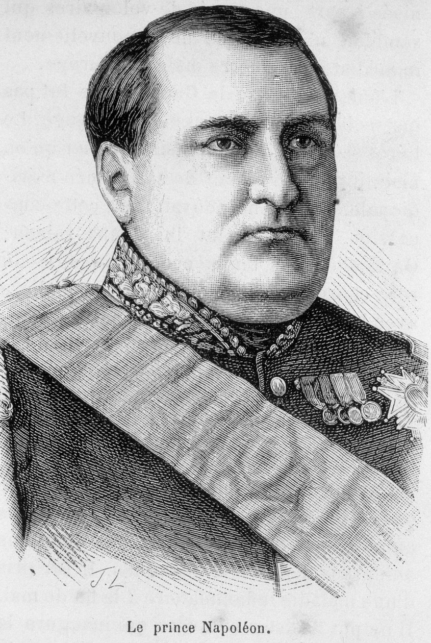 Portrait du Prince Napoléon - Unknown artist