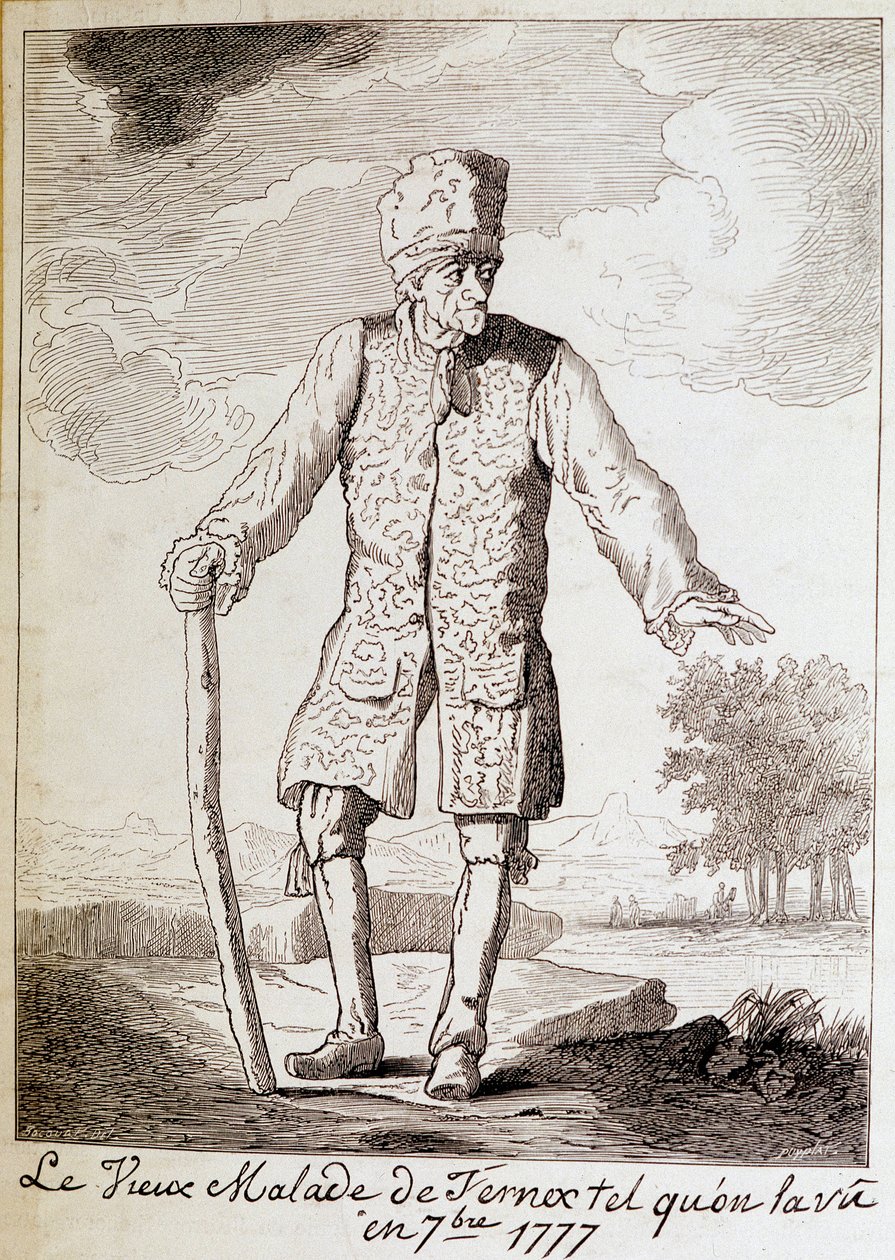 Portrait de Voltaire (1694 - 1778), écrivain et philosophe français, âgé - Unknown artist